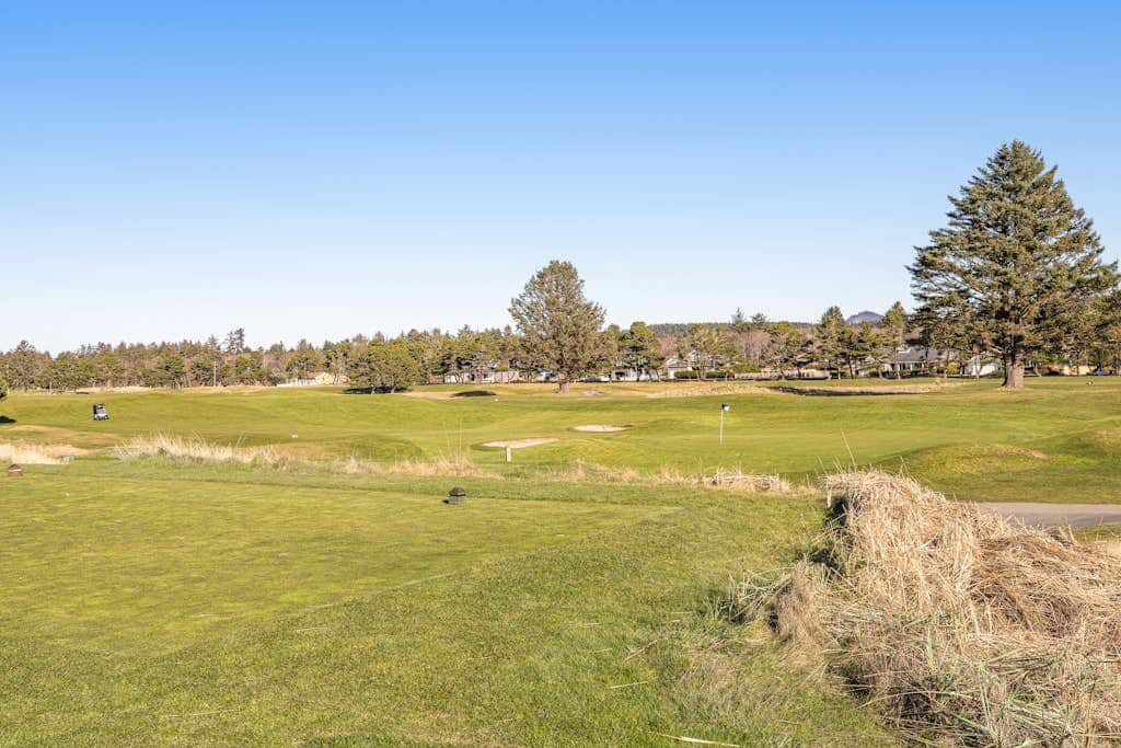 Oceanfront getaway close to Gearhart Golf Links , no pets