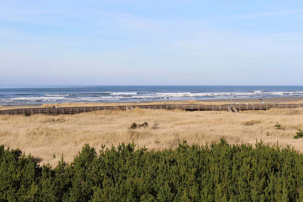 Dog-friendly oceanfront condo with electric fireplace - walk to the beach
