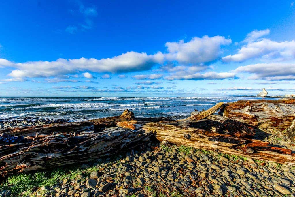 Dog-friendly house near the beach with spectacular views and pool table