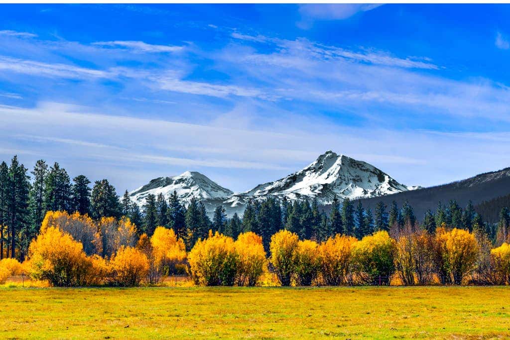 Dog-friendly cabin with deck, mountain views, pools, & hot tubs