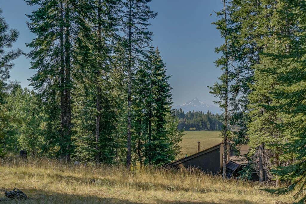 Dog-friendly cabin with deck, mountain views, pools, & hot tubs