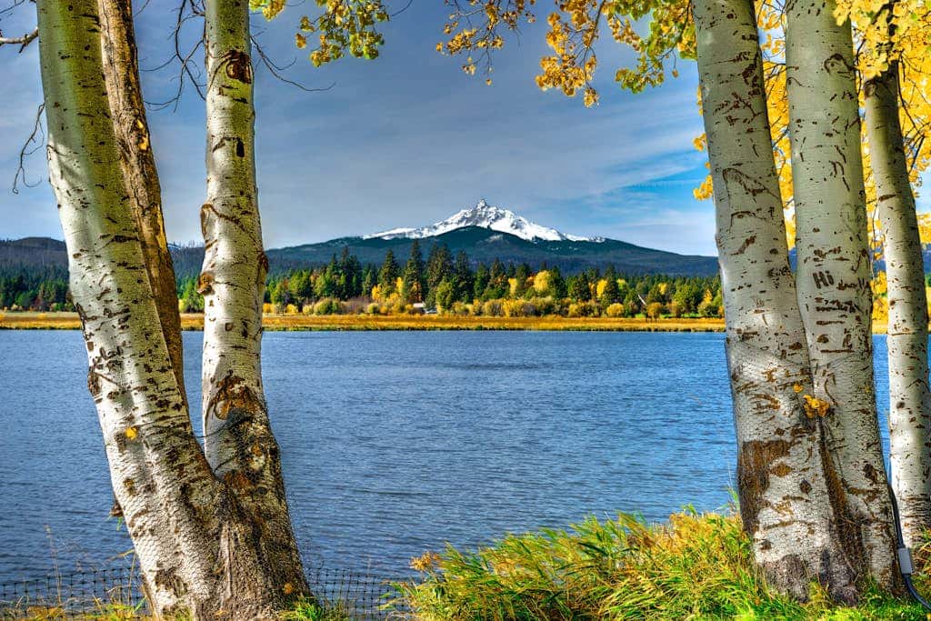 Dog-friendly cabin with deck, mountain views, pools, & hot tubs