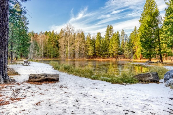 Black Butte Manor Bordering Forest