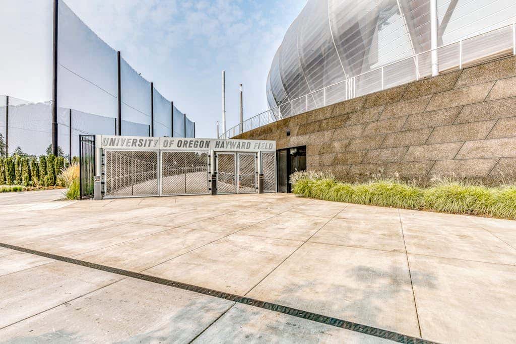 Downtown studio - walk to University - full kitchen, dog-friendly, washer/dryer