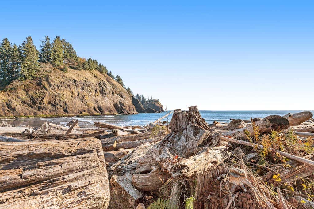 Oceanfront Condo with stunning views, WIFI, W&D, fireplace, & great location