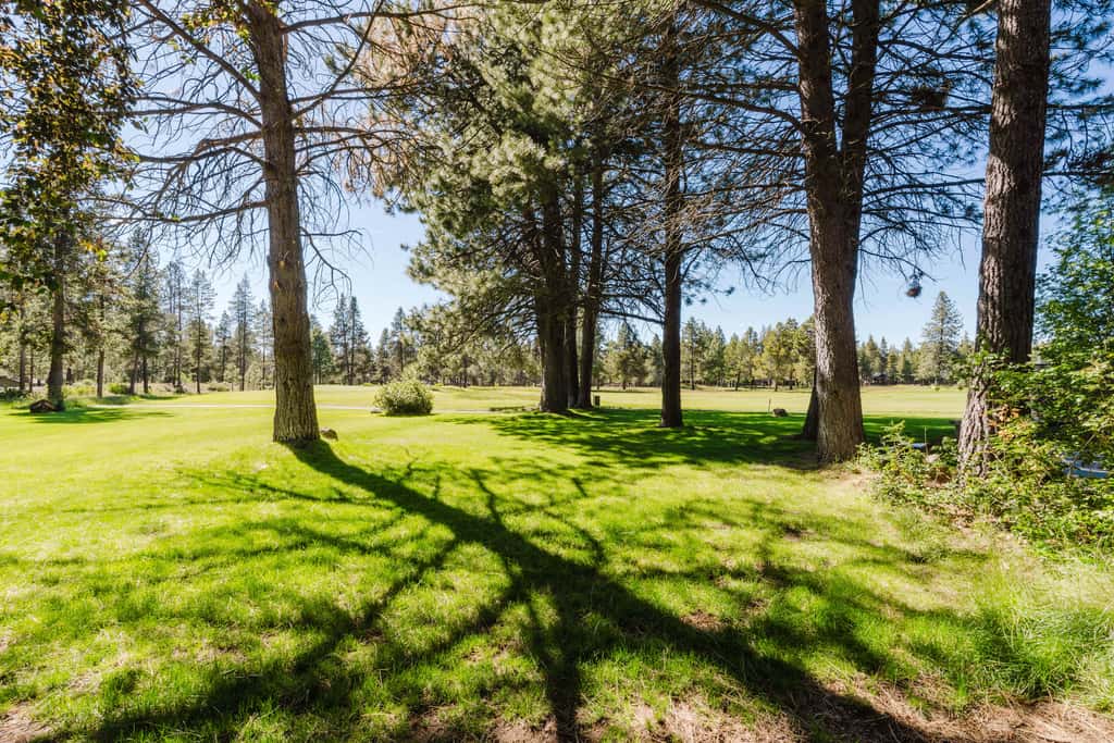 Dog-friendly condo with 6 SHARC passes & great golf course views