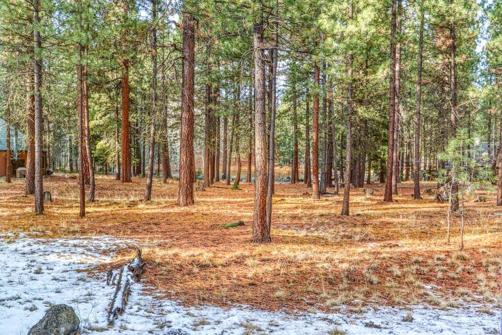 House in Black Butte Ranch with shared amenities