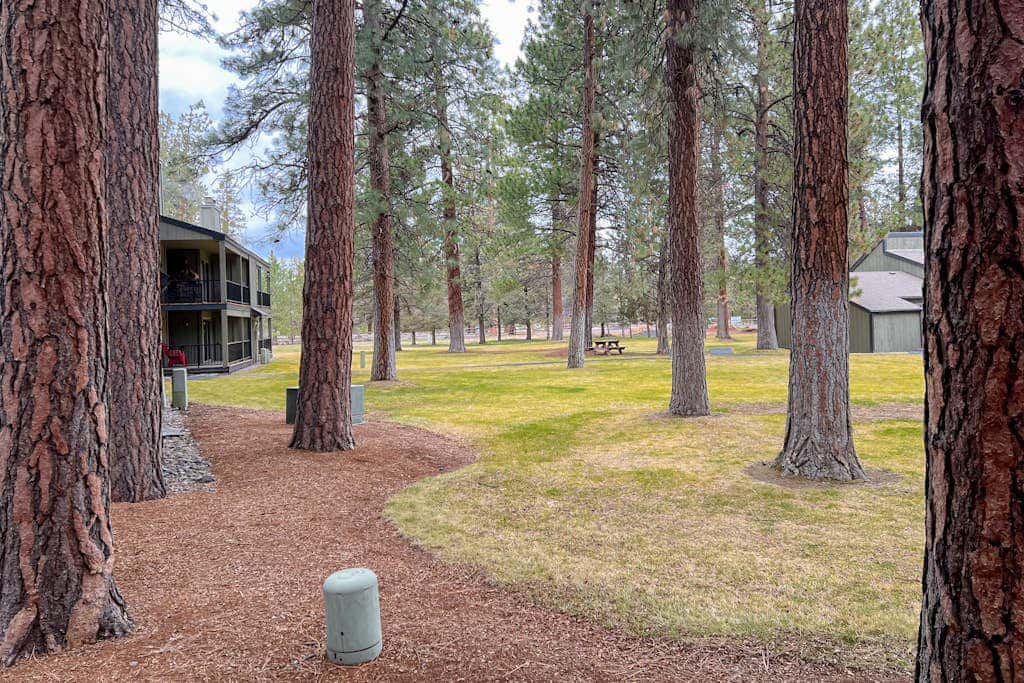 Delightful escape near downtown with shared pool & hot tub, rec room, & large deck
