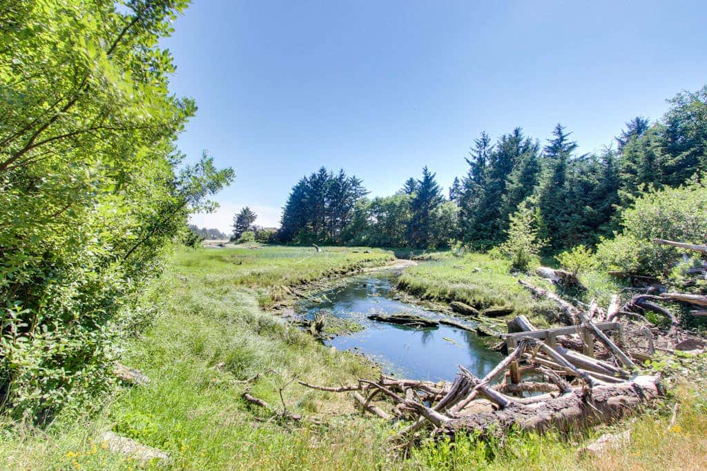 Stunning Ocean Home with Large Yard and Easy Beach Access - Dog-Friendly