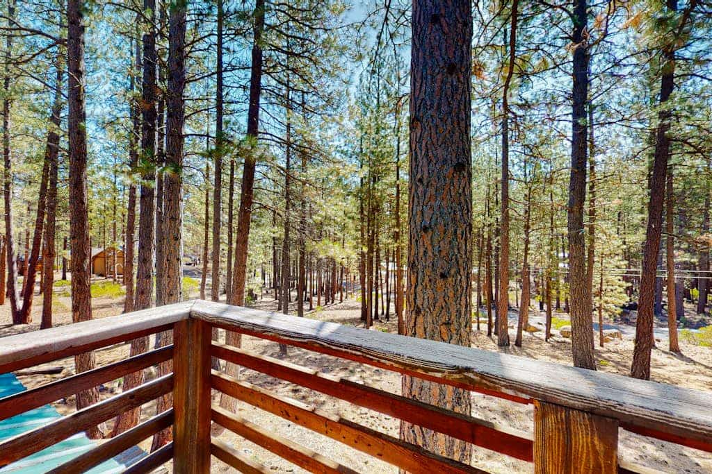 Cascade Cabin
