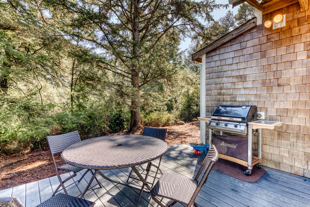Dog-friendly house near the beach with ocean view and private gas grill