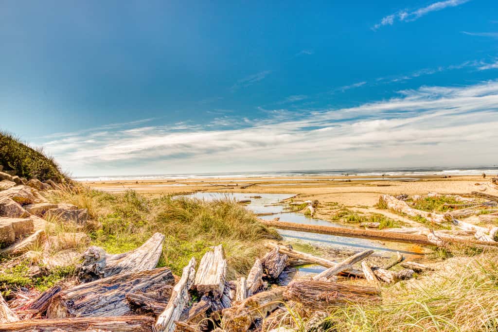 Dog-friendly house near the beach with ocean view and private gas grill