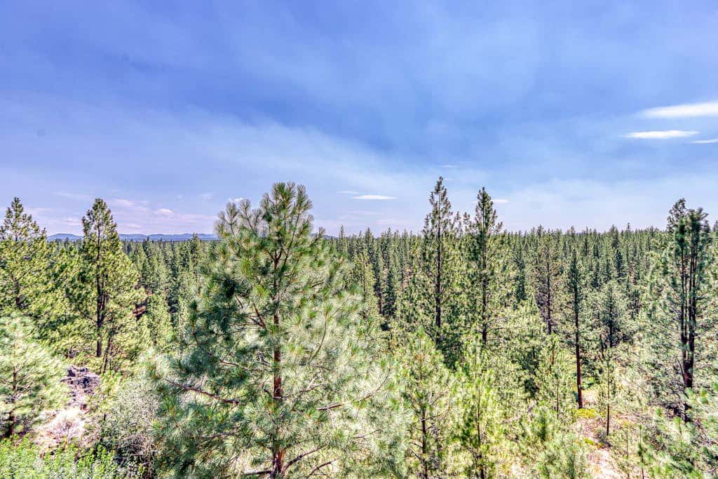 Third-floor retreat with treetop views, AC, pools, hot tubs, & sports courts