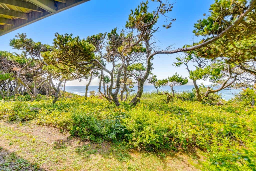 Spacious oceanfront home with free WiFi, and wrap-around deck