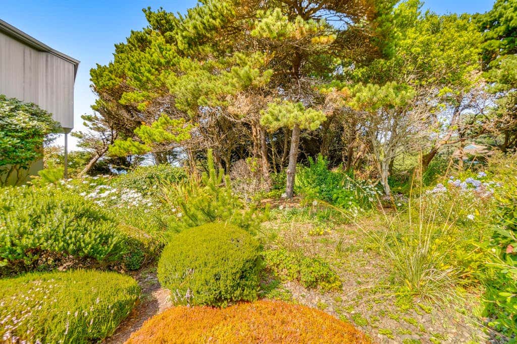 Spacious oceanfront home with free WiFi, and wrap-around deck