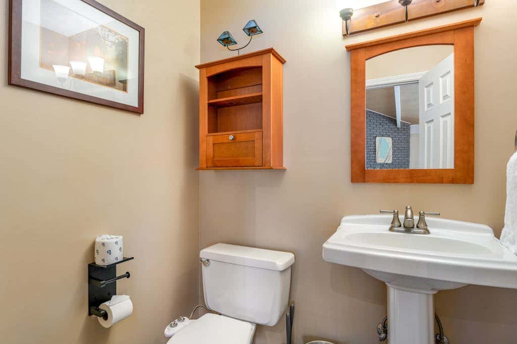 Dog-friendly mountain getaway near skiing & lake with water views & private balcony