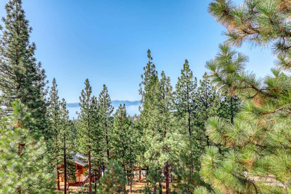 Dog-friendly mountain getaway near skiing & lake with water views & private balcony