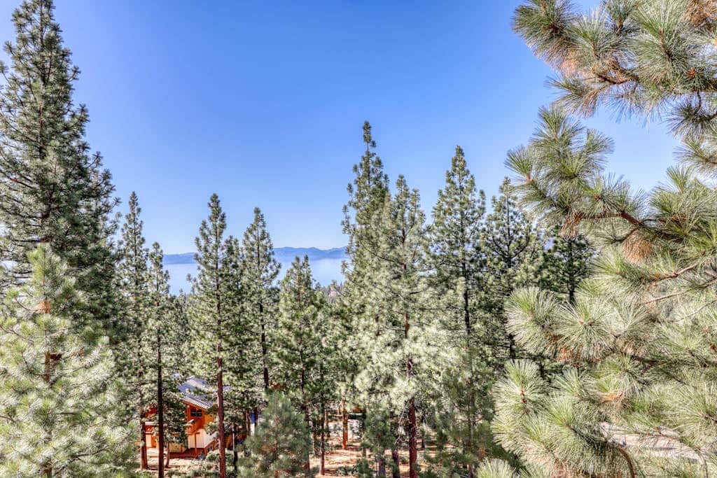 Dog-friendly chalet with amazing lake views & pool access - near lake & slopes
