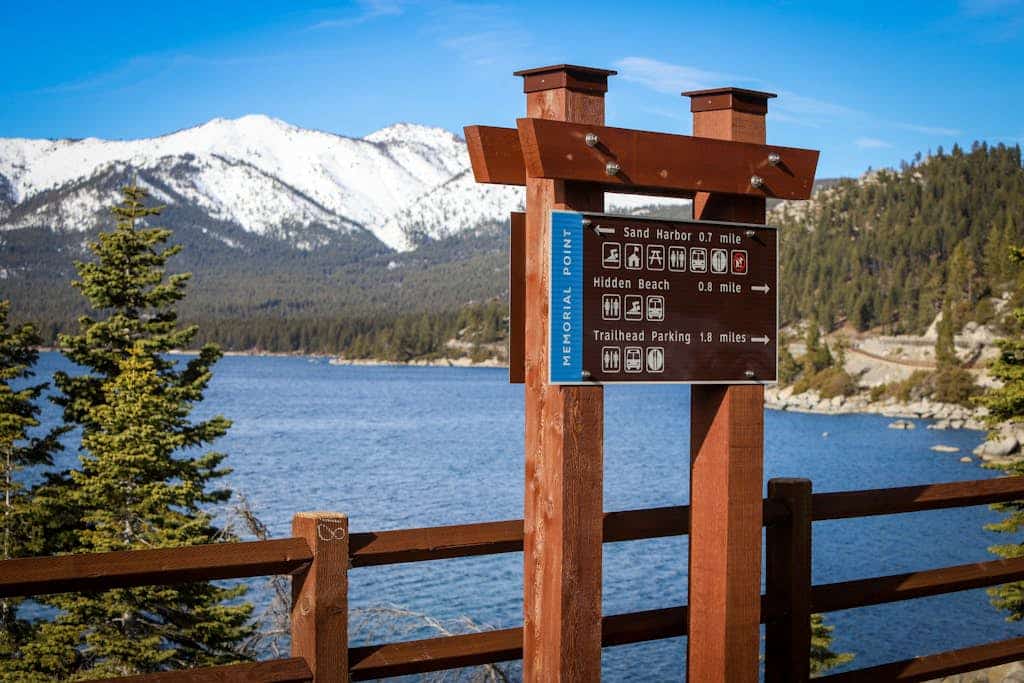 Brown Bear's Hideaway