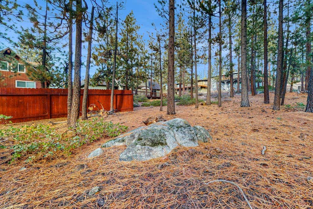 Classic Charm in South Lake Tahoe Views of the Heavenly Mountain Slopes