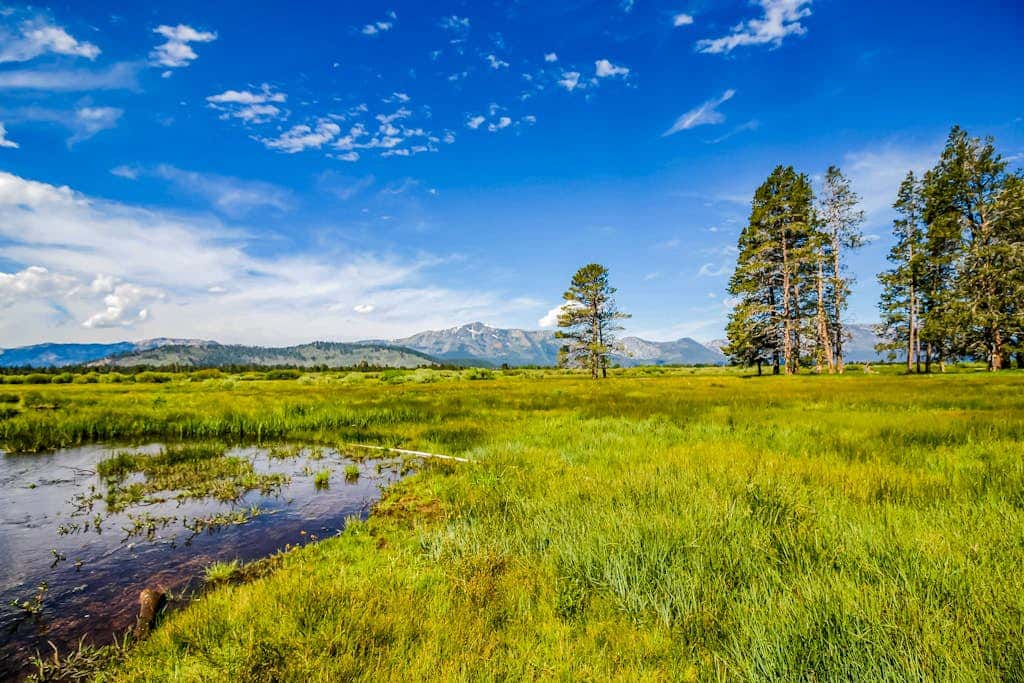 Classic Charm in South Lake Tahoe Views of the Heavenly Mountain Slopes
