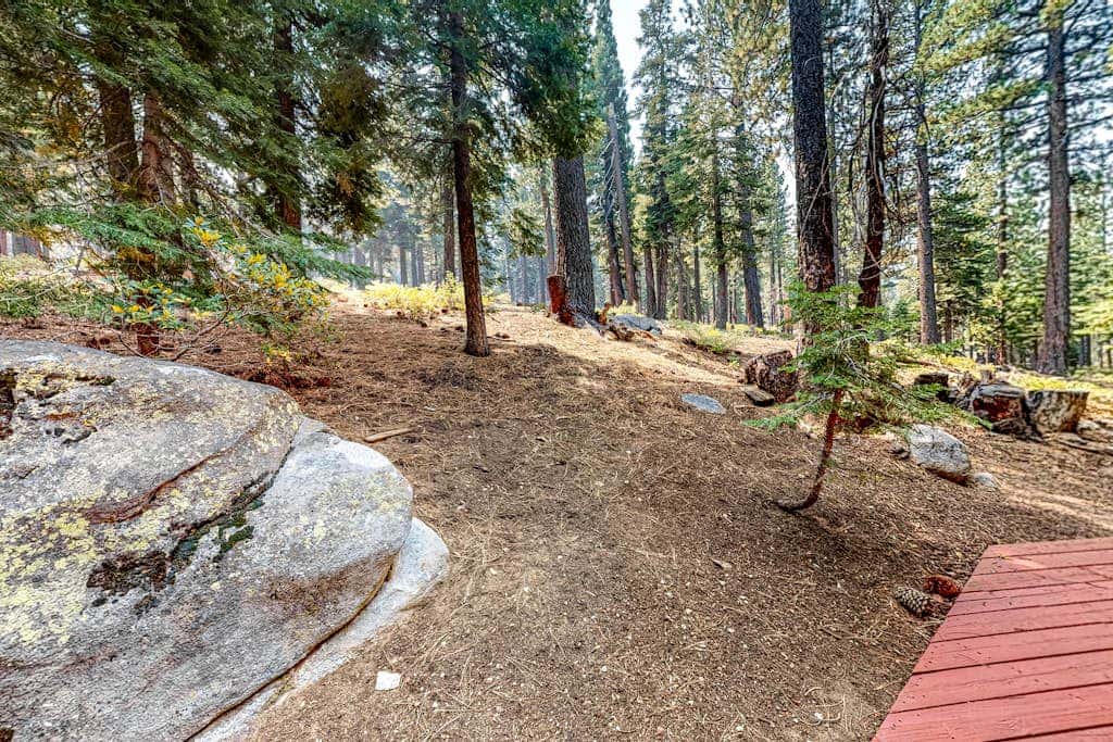 Dog-Friendly A-Frame Cabin w/ Forest Views Near Town