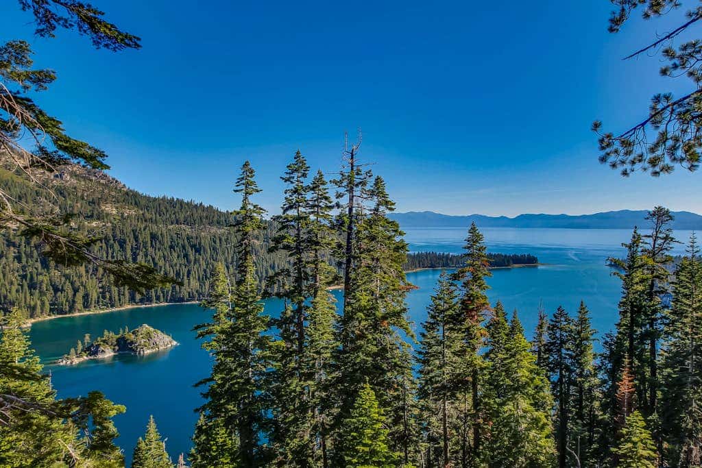 Dog-Friendly A-Frame Cabin w/ Forest Views Near Town