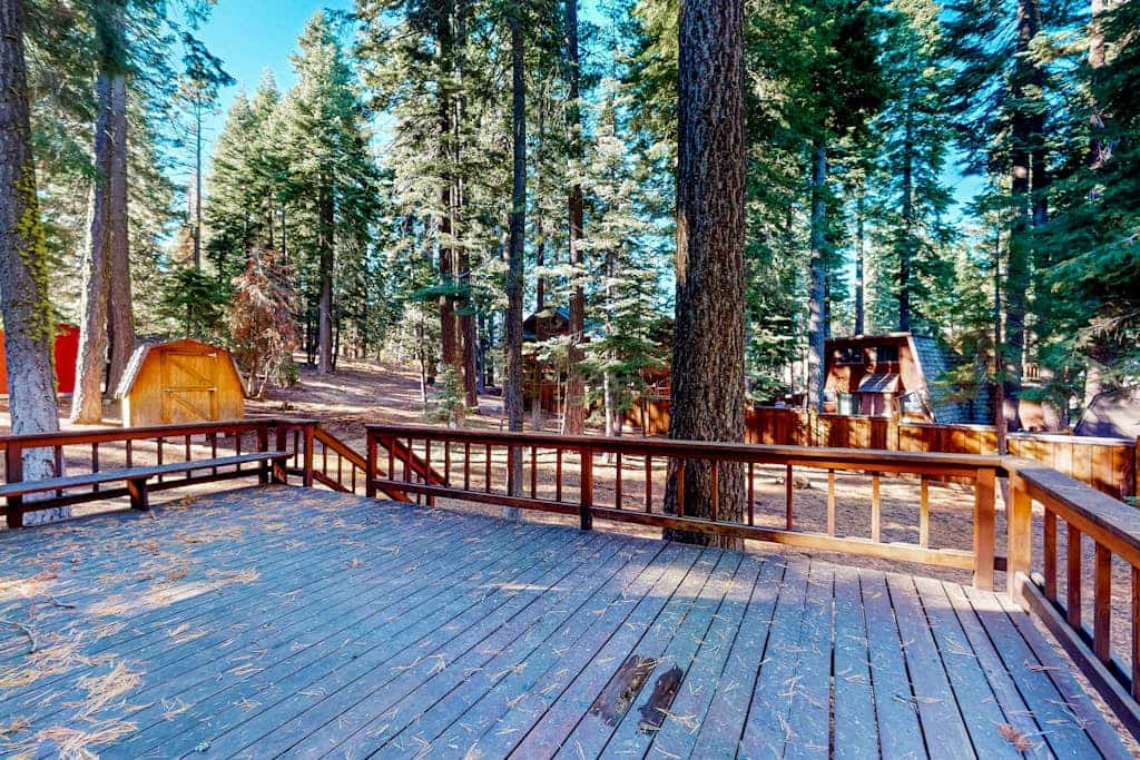 Tranquil Treehouse Haven