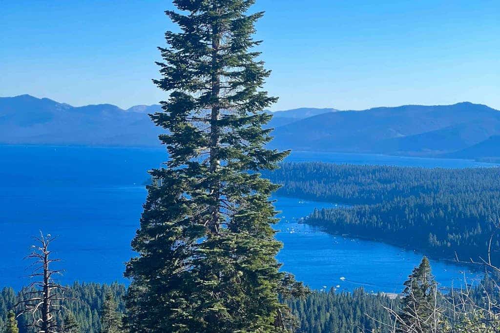A Taste of Tahoe