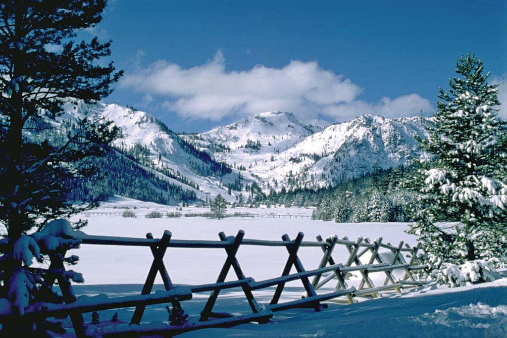 Luxe Ski-in-ski-out King Suite with Fireplace, Resort Pools, Spa & Gym