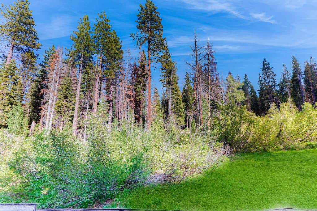 near Kings Beach & Northstar Village with balcony