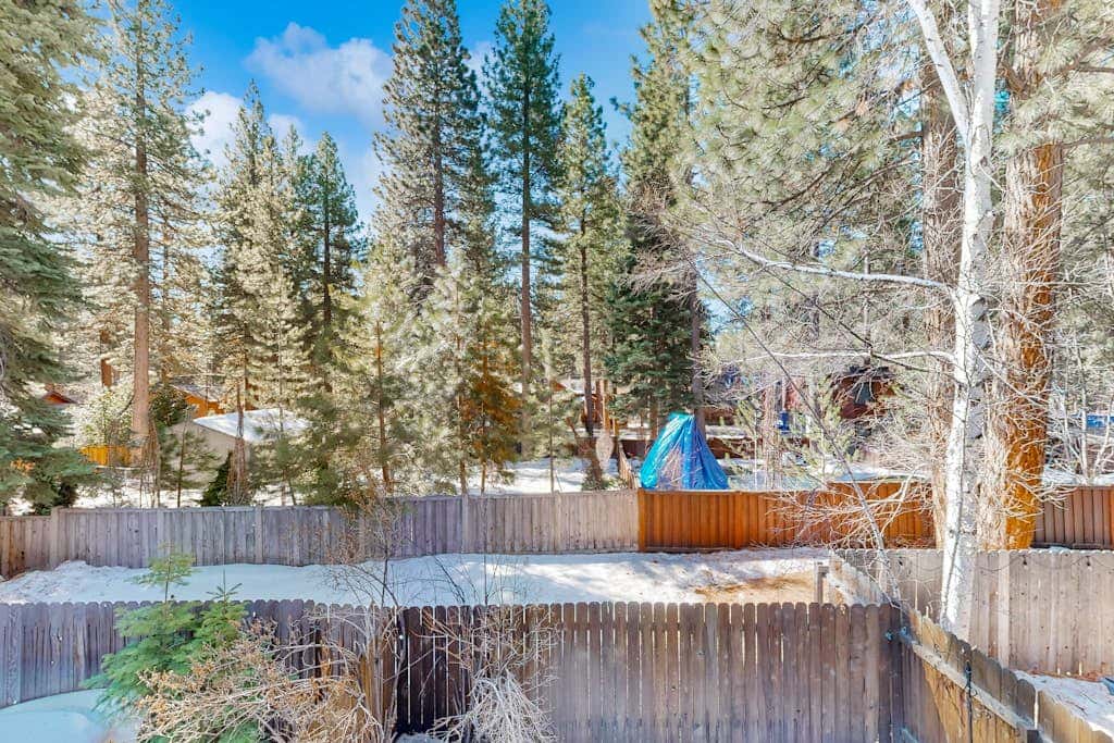 Forest-view condo with wood fireplace & walkable locale - dog-friendly