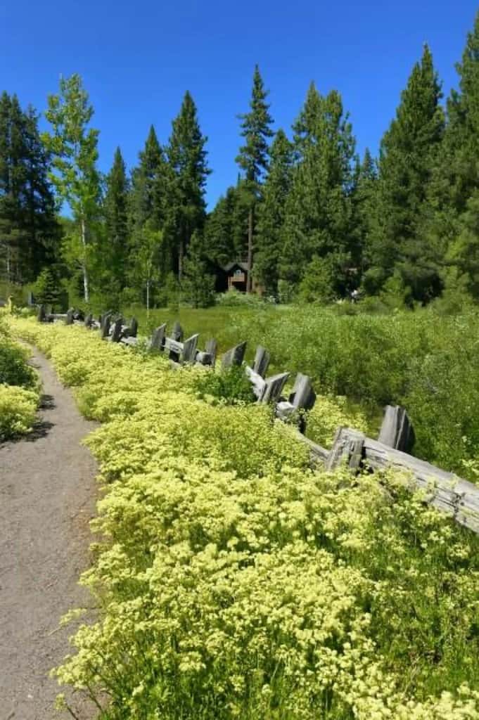 Tahoe condo with hot tub, central AC, fireplace, gas grill & balcony