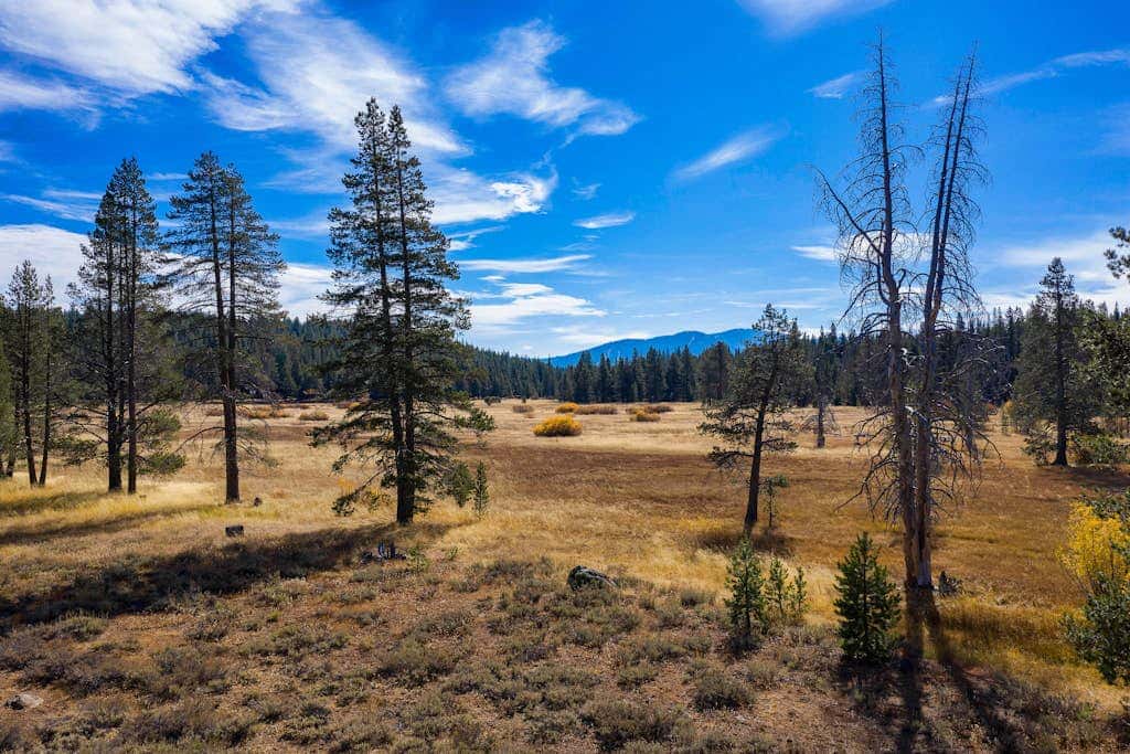Expansive Tahoe home with hot tub, deck, sauna, game room and washer&dryer