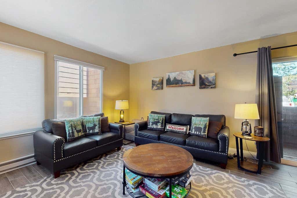 Dog-friendly, ski-in/ski-out Condo with deck