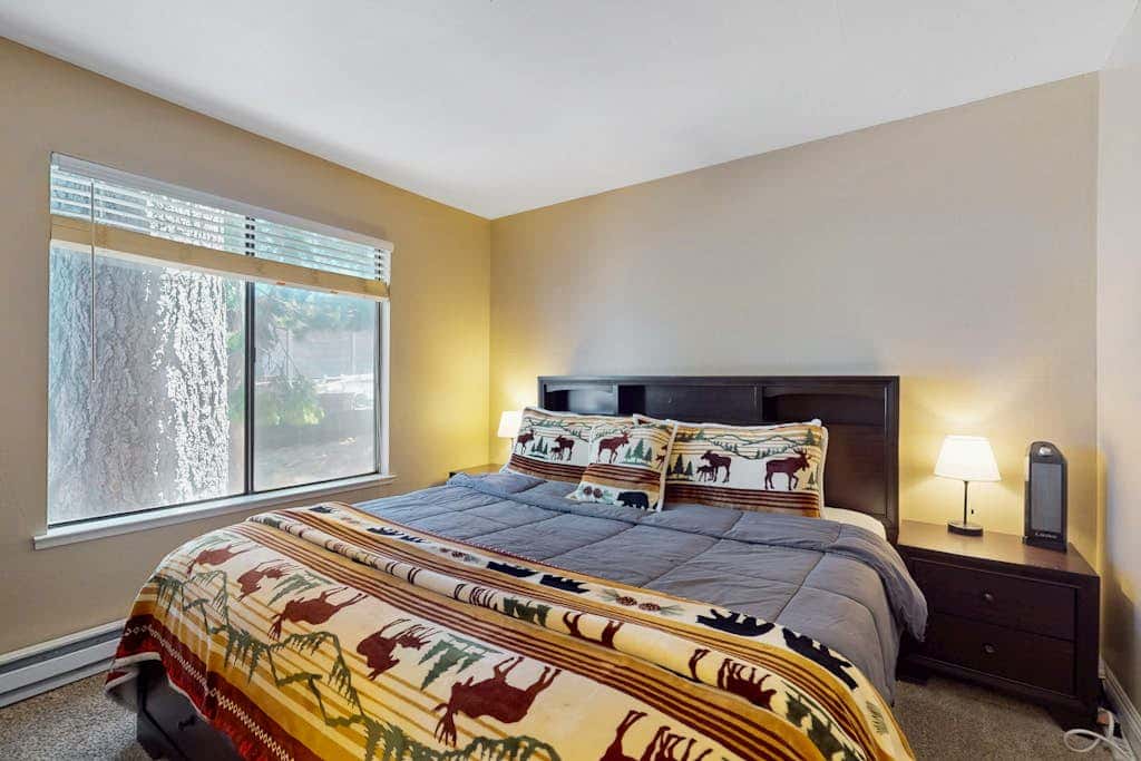 Dog-friendly, ski-in/ski-out Condo with deck