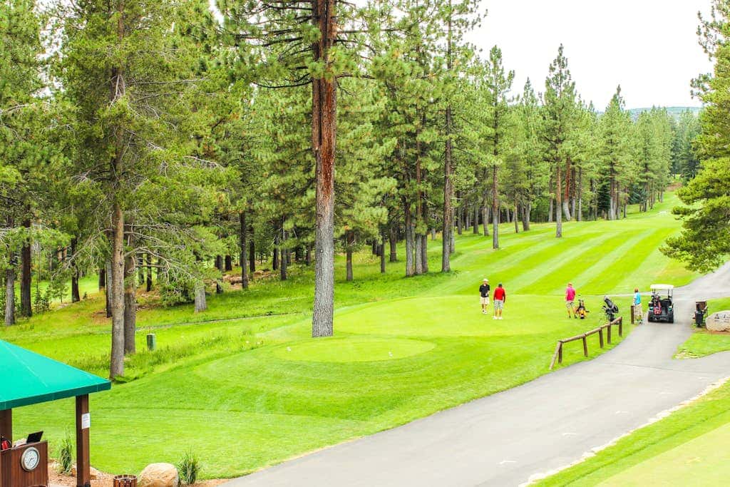 Spacious Tahoe Donner retreat with private hot tub - near trails, slopes & golf