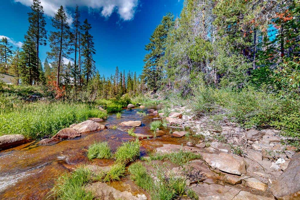 Riverfront dog-friendly retreat with a rustic flair & wood stove, near skiing