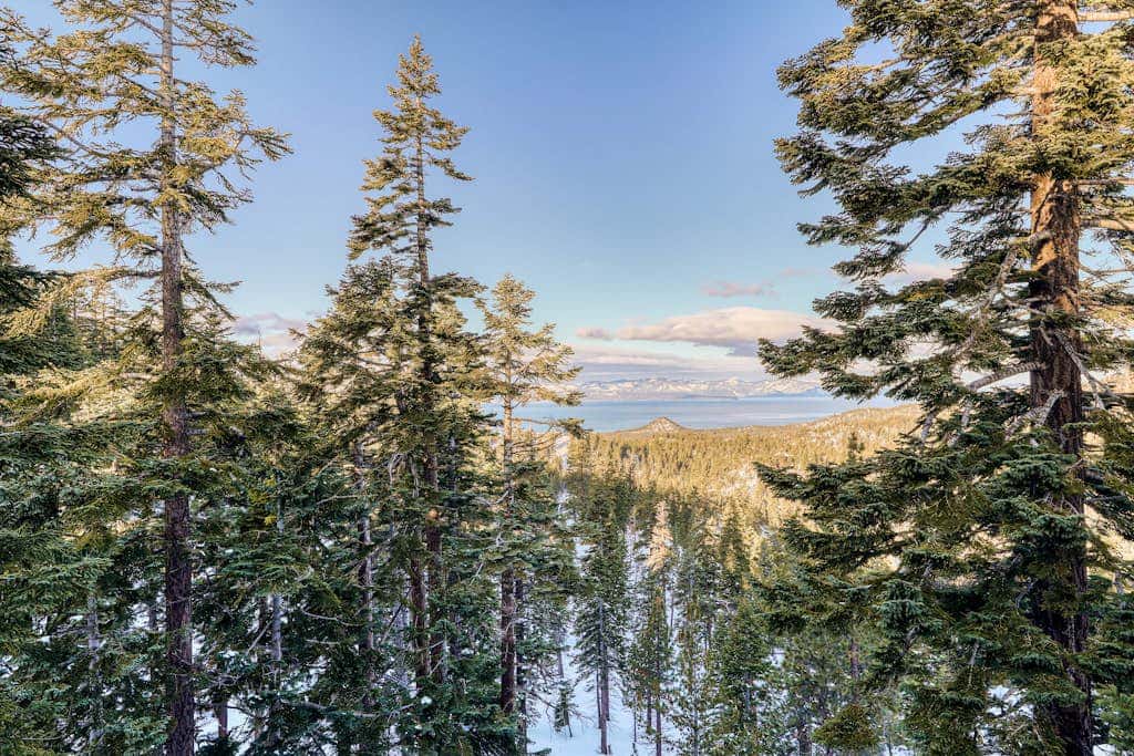 Dog-friendly mountain condo with washer&dryer