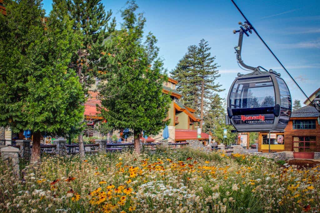 Discover the majesty and adventure of Lake Tahoe & Heavenly