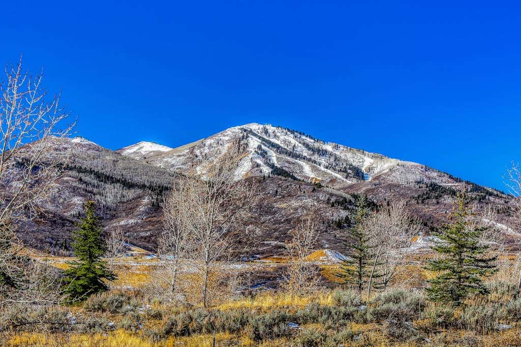 Stunning ski-in/ski-out penthouse w/ shared pool, hot tub, sauna & gym