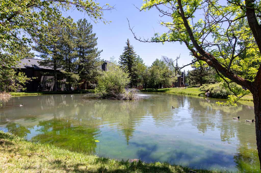 Dog-friendly townhome with private hot tub, tennis, & balcony