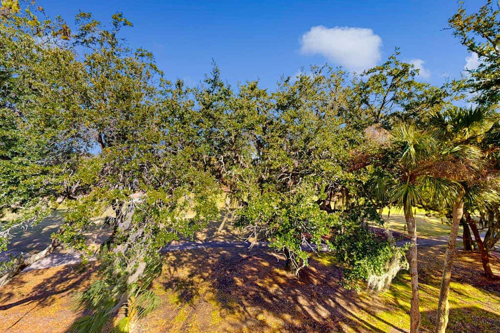 Driftwood Villa  267