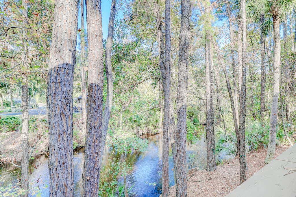 Dog friendly condo with pool, central AC, & washer and dryer, quick walk to beach