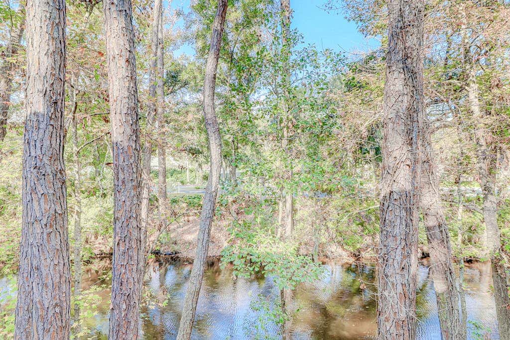 Dog friendly condo with pool, central AC, & washer and dryer, quick walk to beach