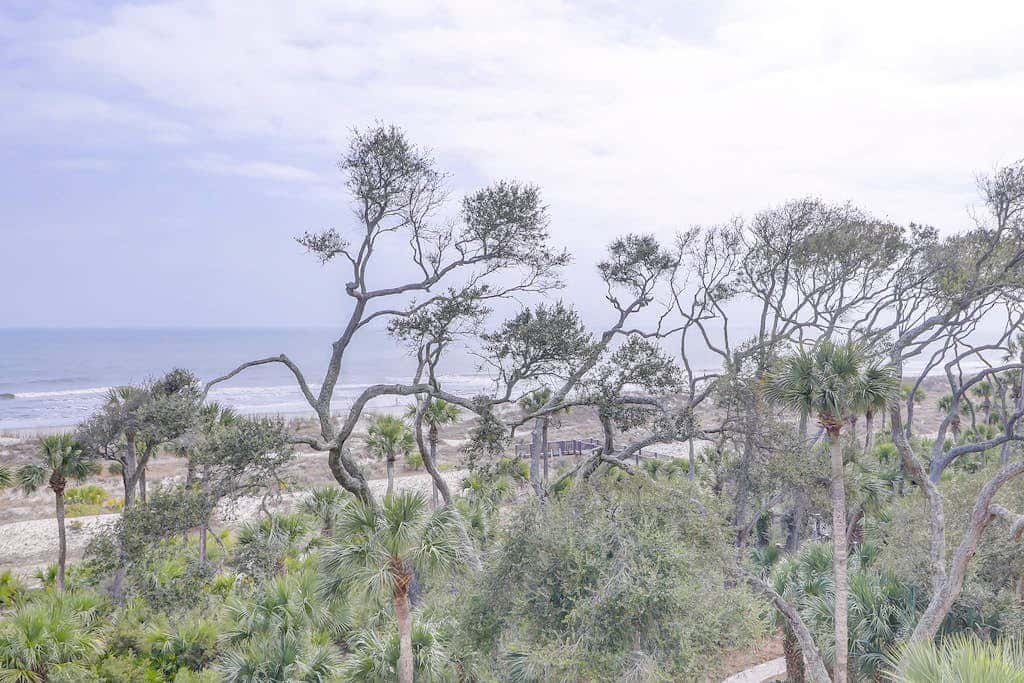 Sunlit Oceanfront Condo with Two Balconies, Wet Bar, Beach Views & WiFi