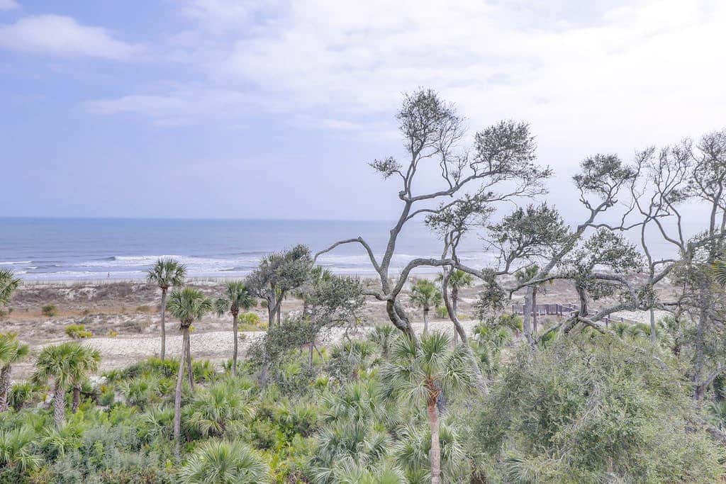 Sunlit Oceanfront Condo with Two Balconies, Wet Bar, Beach Views & WiFi
