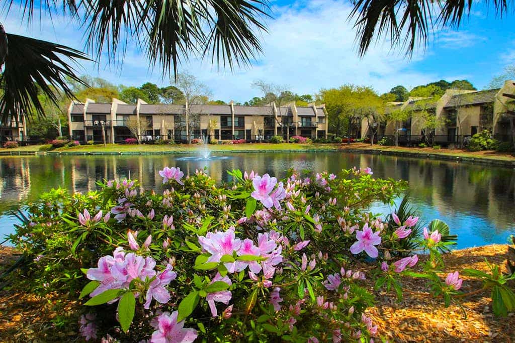 Island Club 113