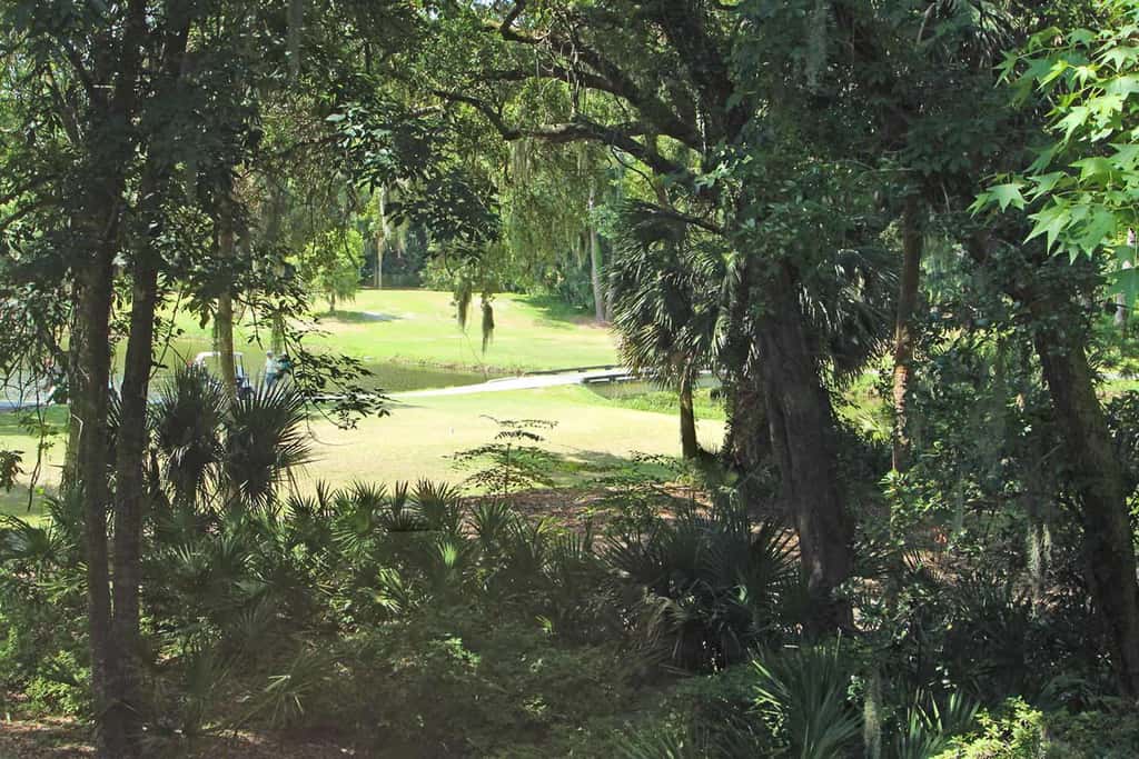 Renovated Dog Friendly Villa with Patio & Pool  Near Golf & Beach