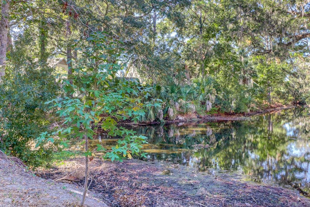 Splendid condo,  pool, full kitchen, & patio
